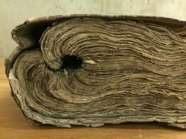 Concave spine of a 16th century High Commission Act Book.